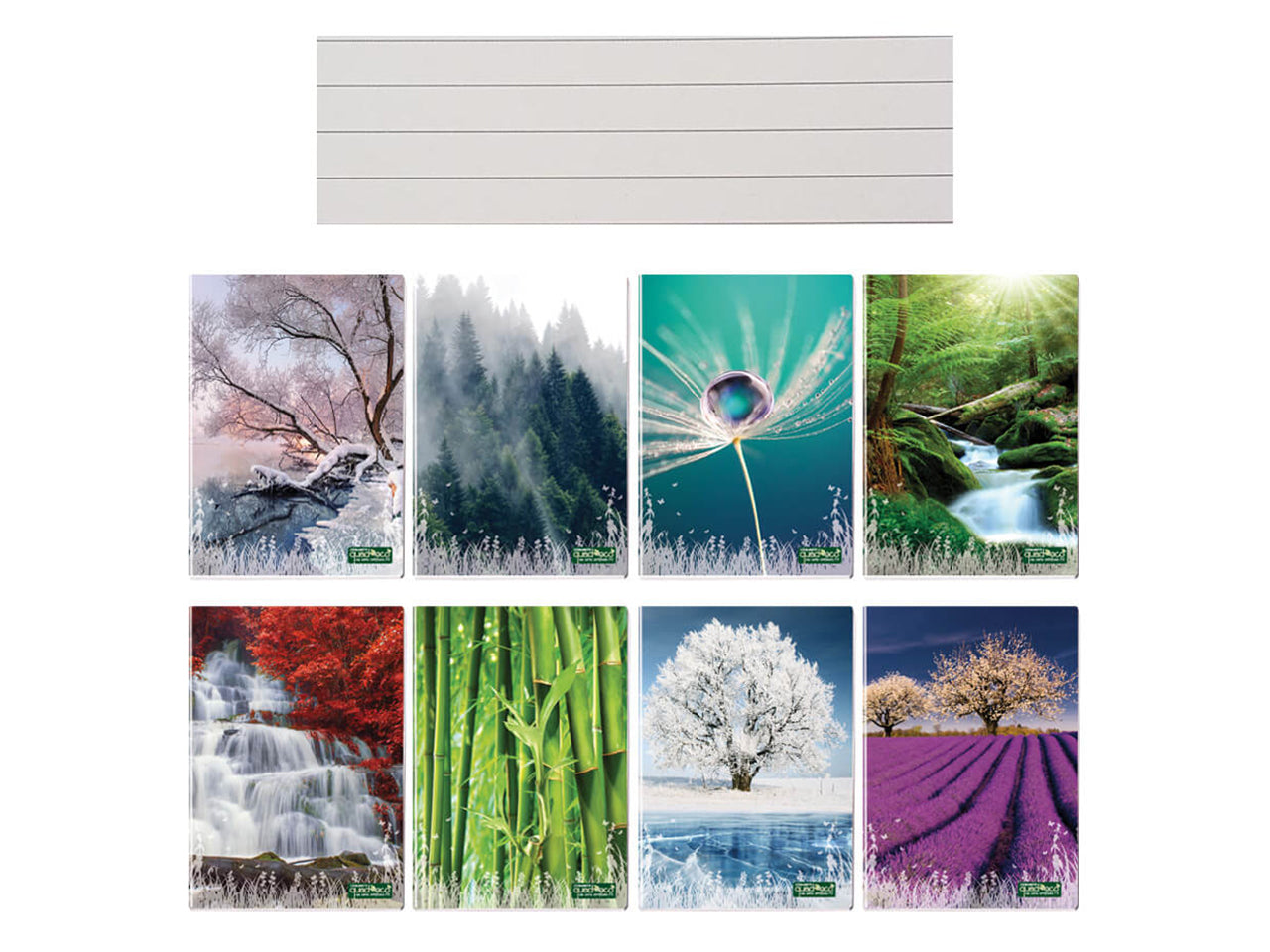 Quaderno maxi Quadecò 20+1 fogli 80gr 1R in confezione da 10 pezzi