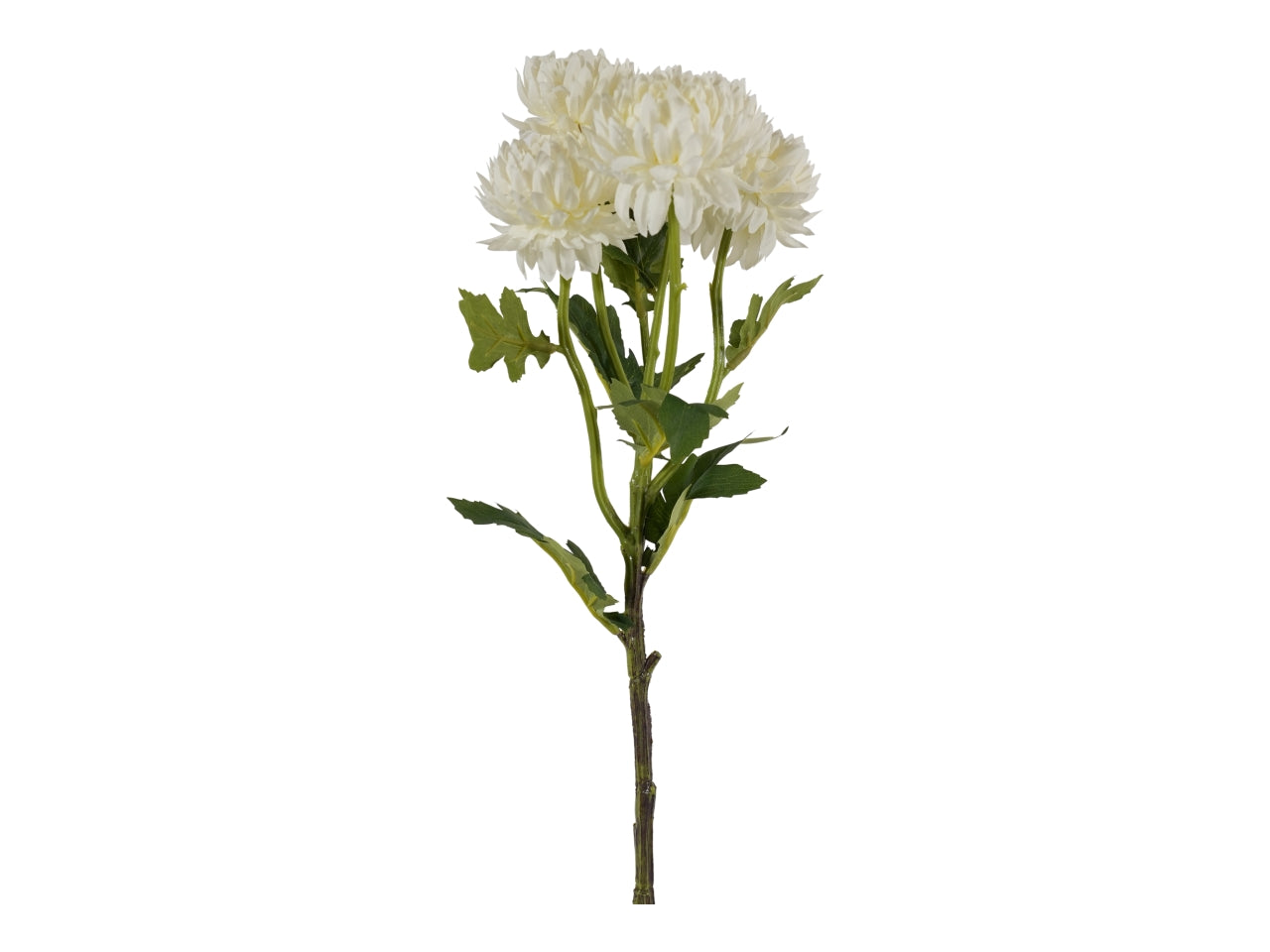 Tralcio crisantemo bianco