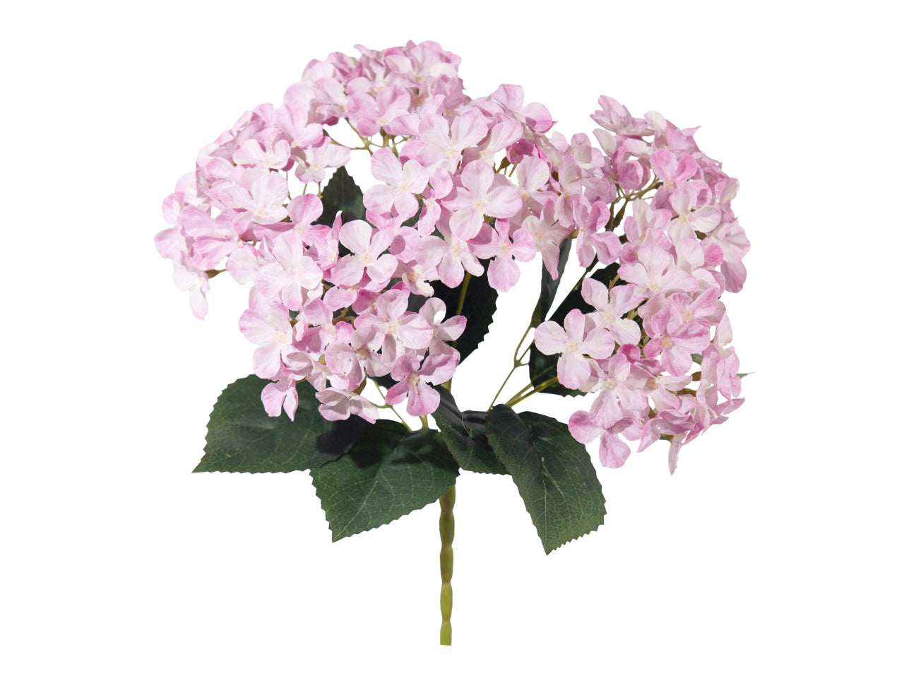 Mazzo ortensia x 6 rosa