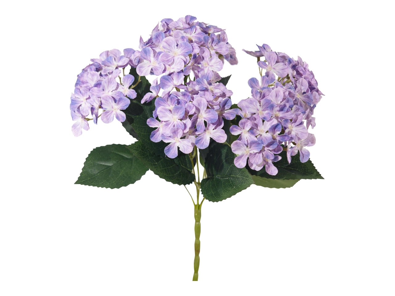 Mazzo ortensia x 6 viola