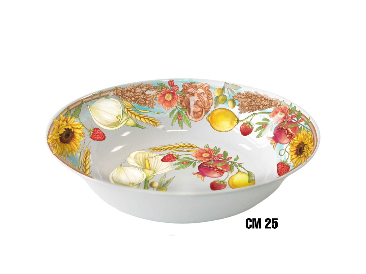 Terracotta ciotola melamina 25cm