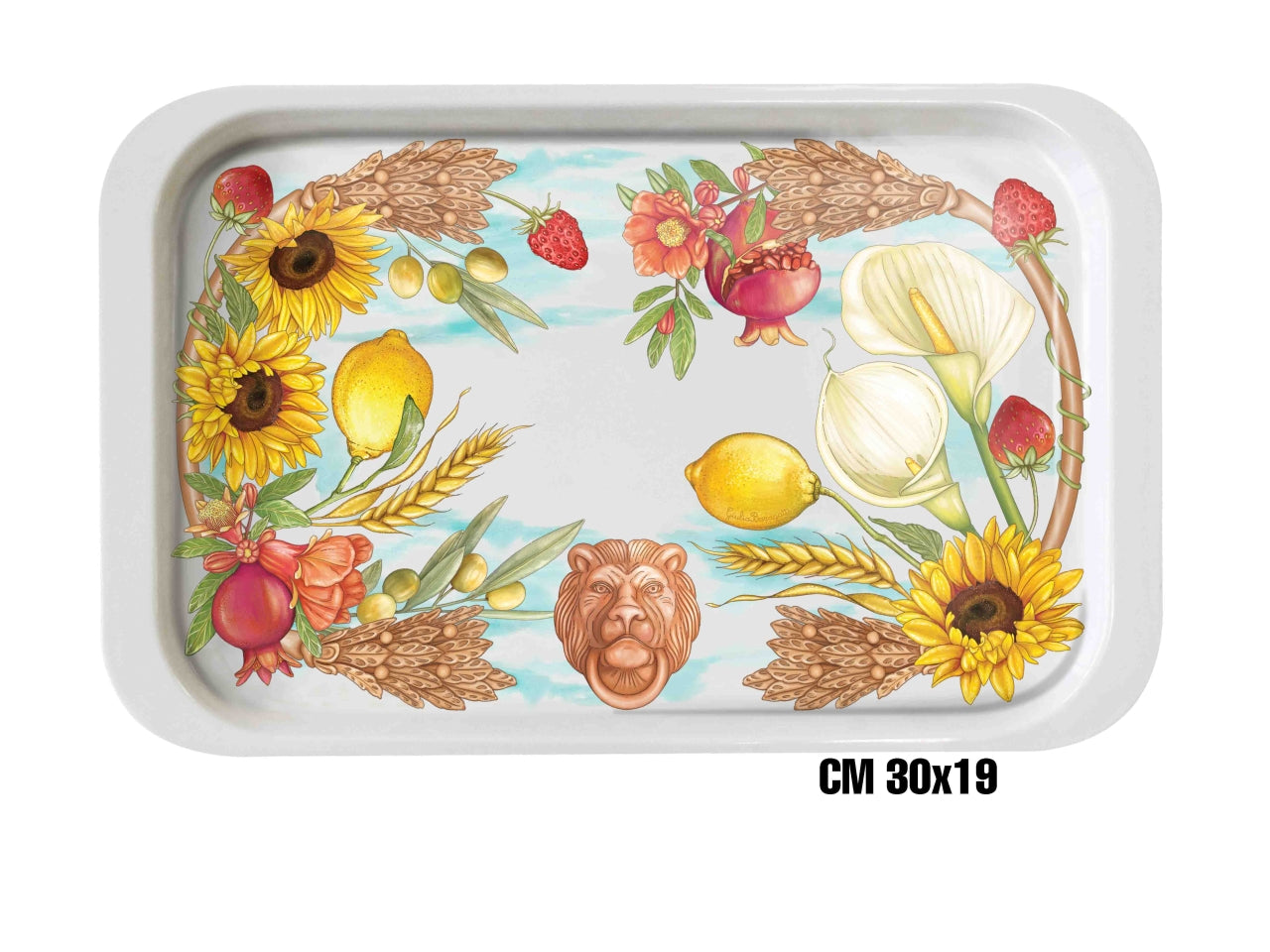 Terracotta vassoio melamina 30x19cm