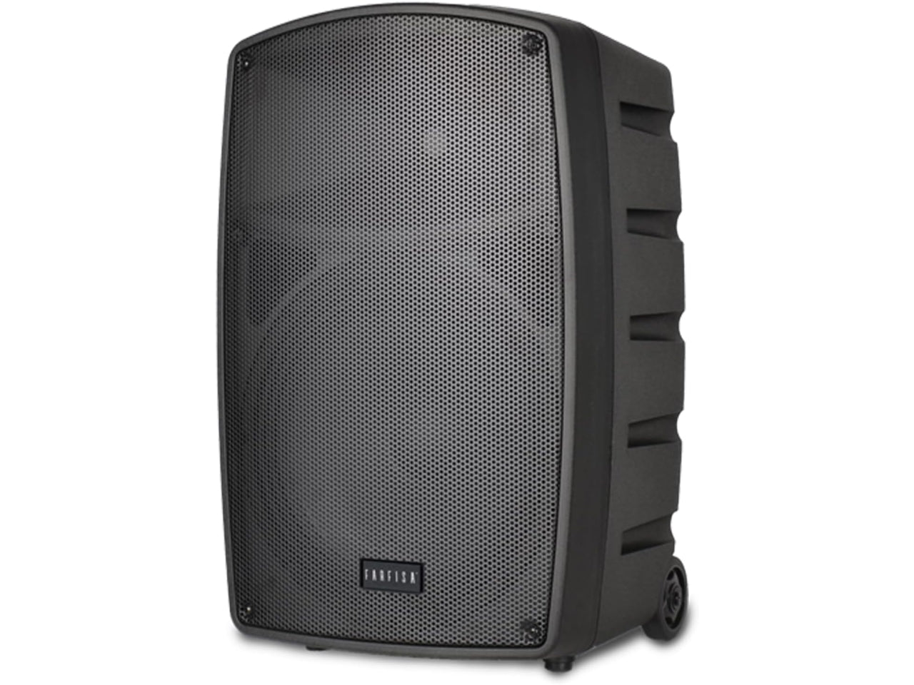 Cassa acustica wireless trolley da 100W con 2 microfoni senza filo