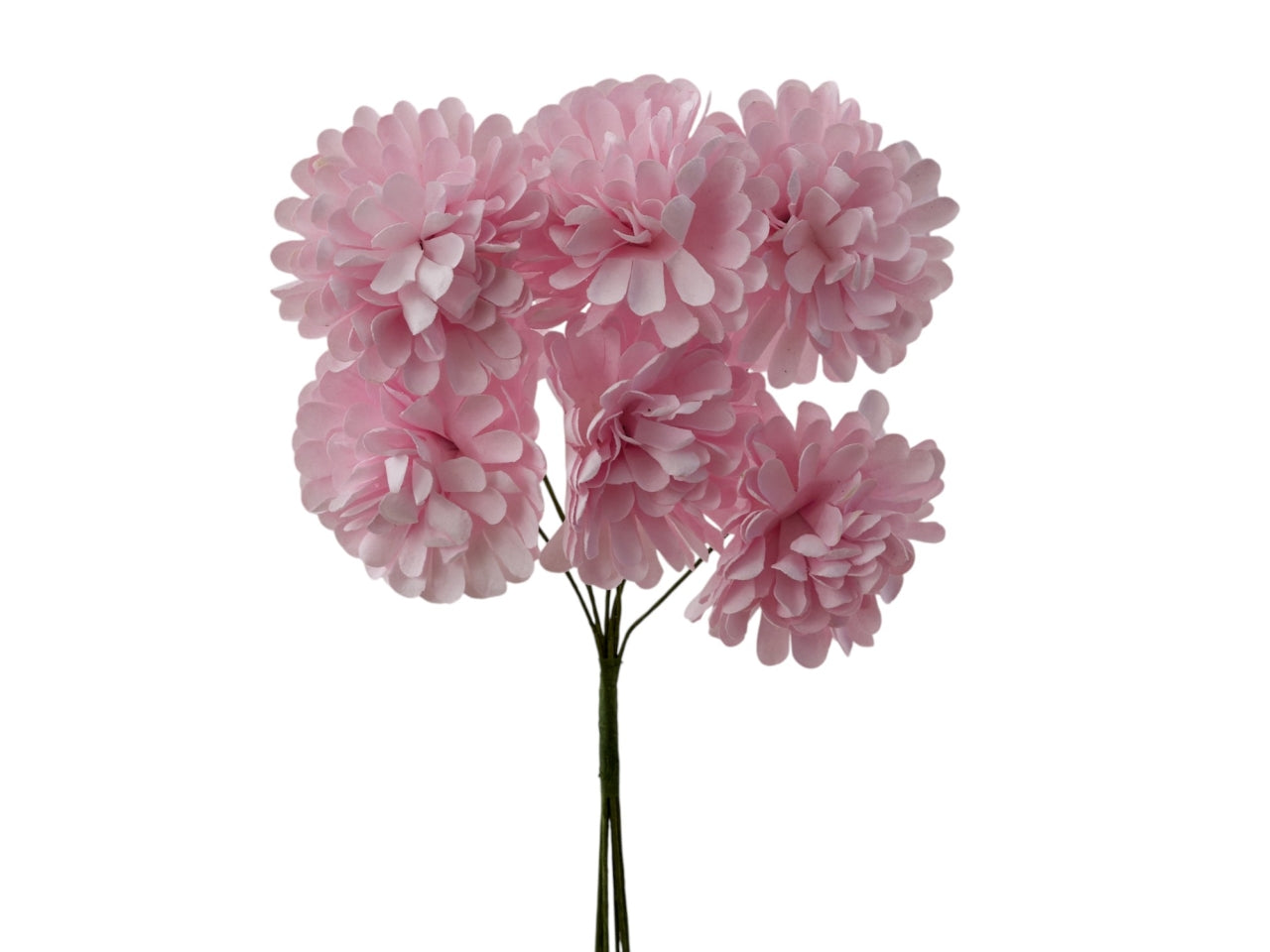 Dalia mini rosa diametro 3cm, confezione da 72 pezzi