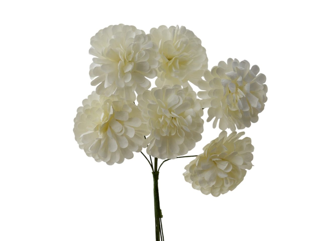 Dalia mini panna diametro 3cm, confezione da 72 pezzi