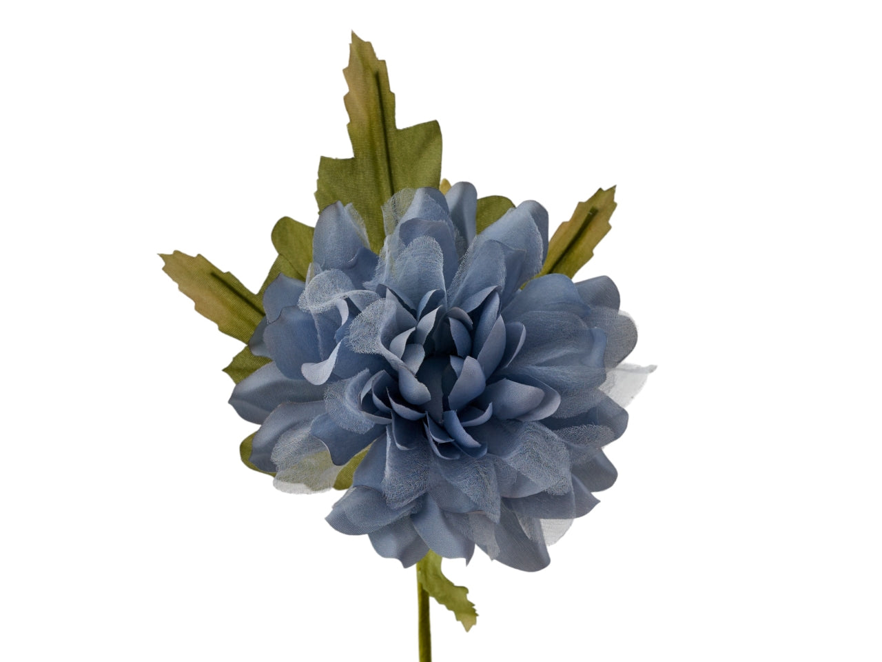 Dalia con foglie carta da zucchero