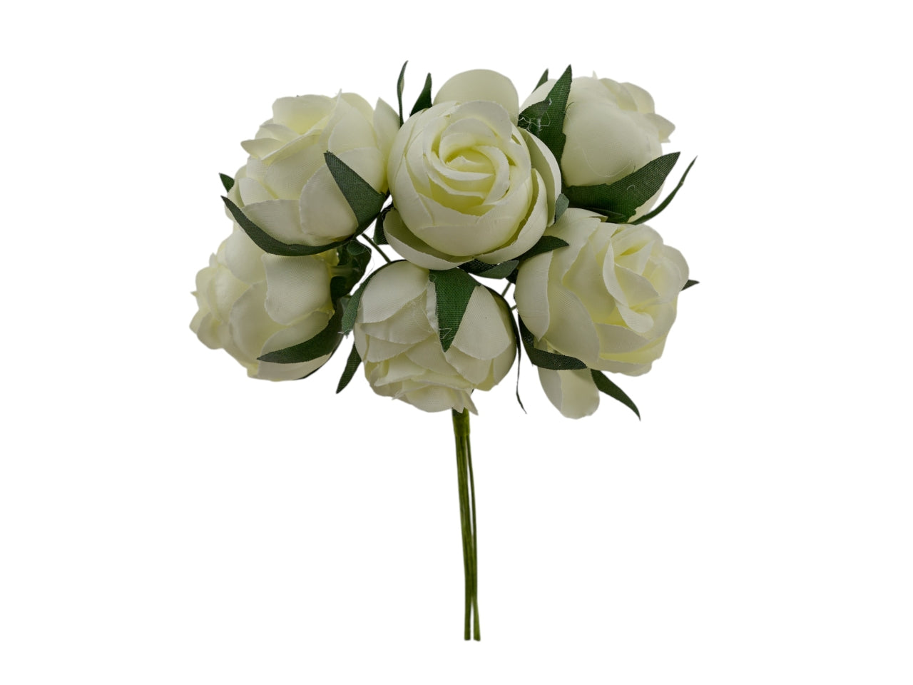 Rosa bocciolo panna, confezione da 72 rose