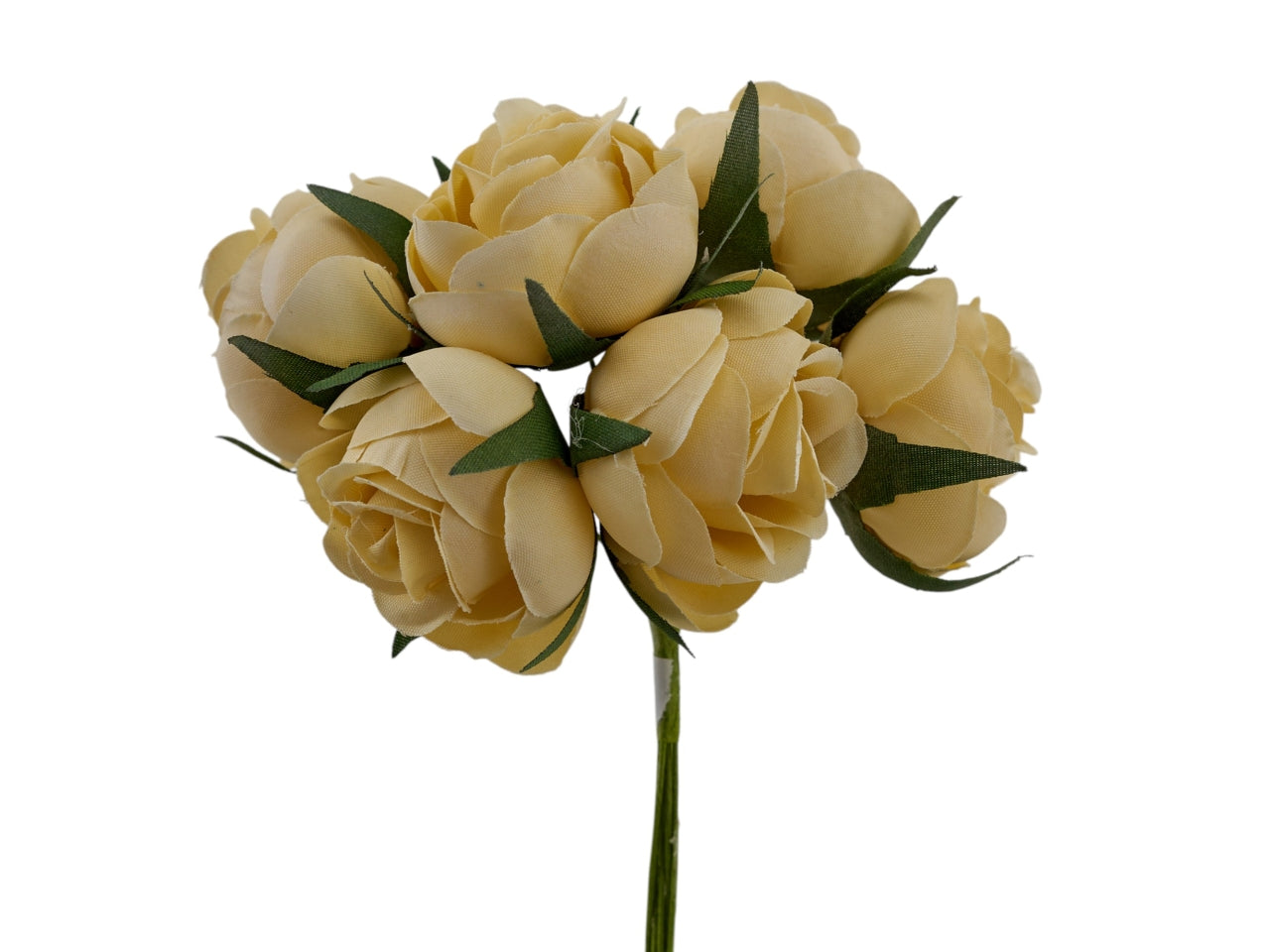 Rosa bocciolo crema, confezione da 72 rose