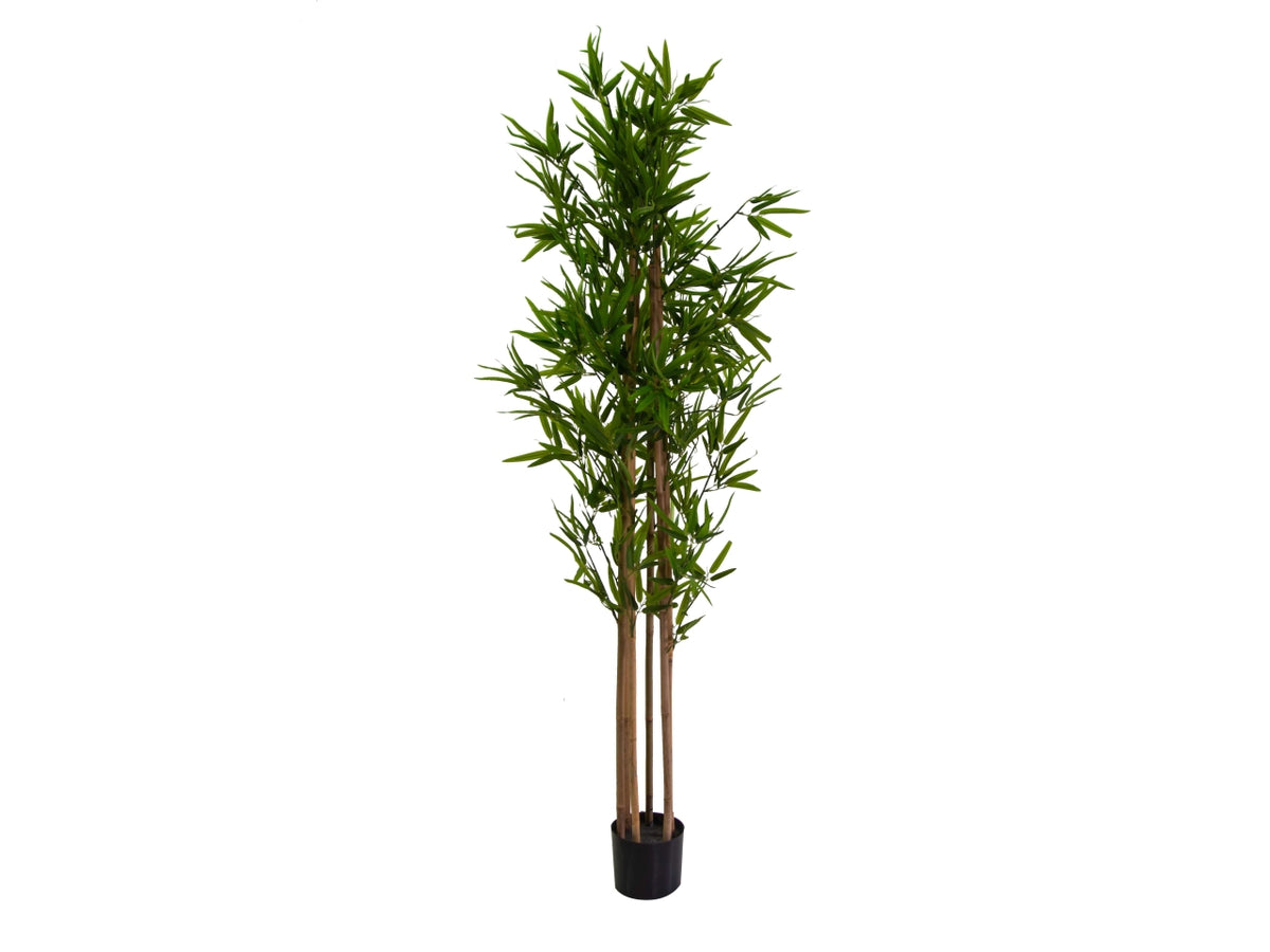 Pianta bambù artificiale 180cm