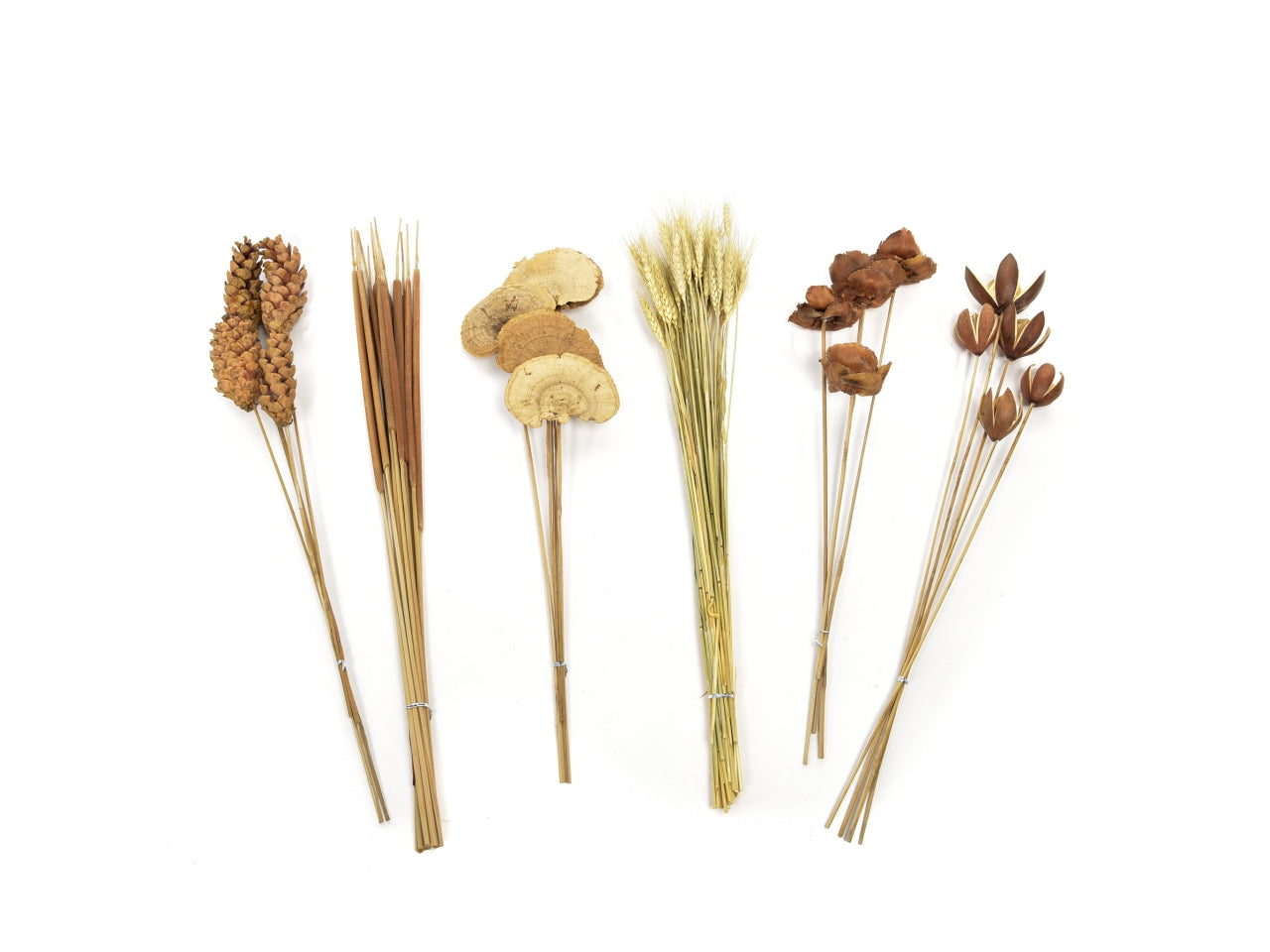 Fiori secchi naturali per decorazione 78cm, modelli assortiti