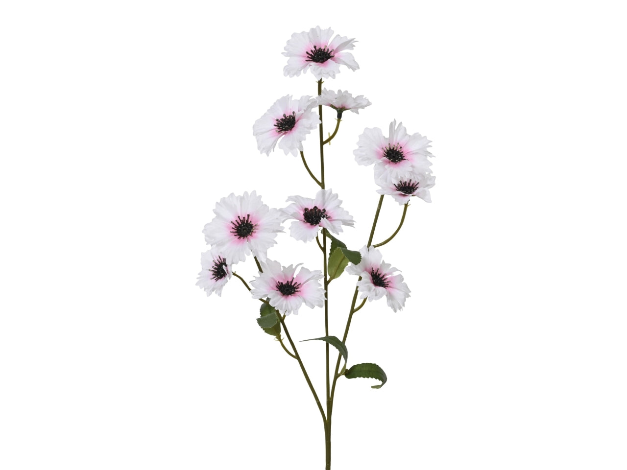 Fiordaliso rosa 5x12xh.55cm