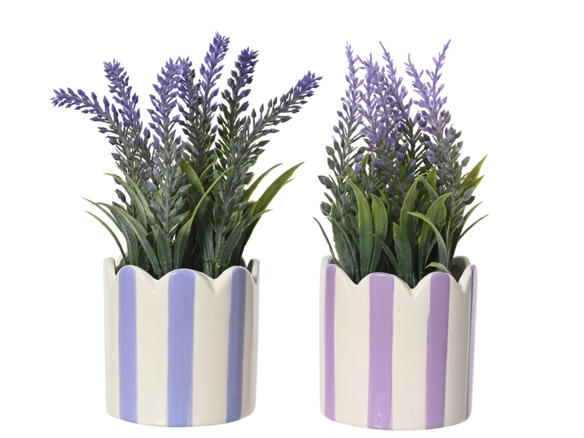 Vaso c/lavanda 2 assortiti d.7xh.18cm