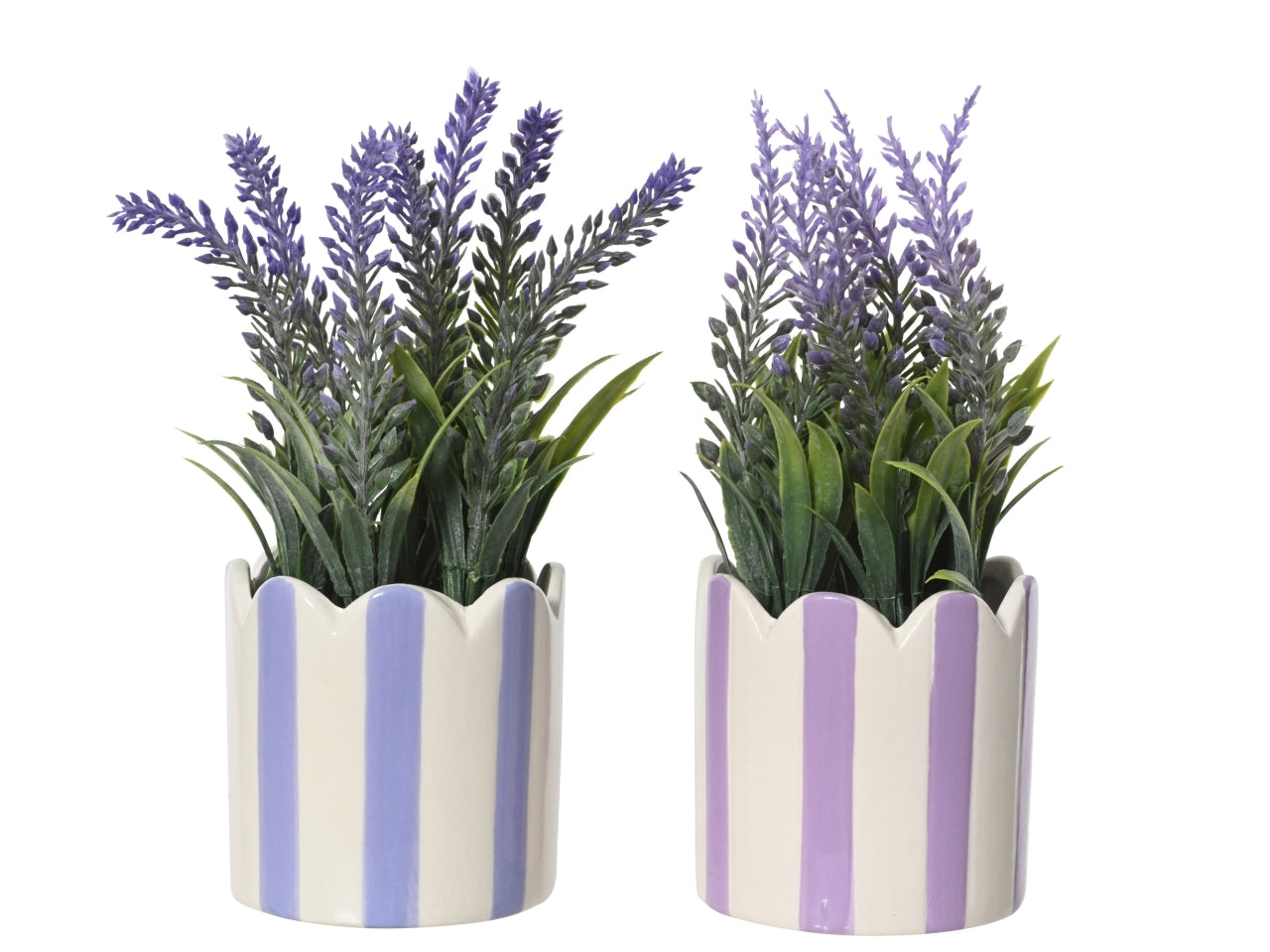 Vaso c/lavanda 2 assortiti d.7xh.18cm