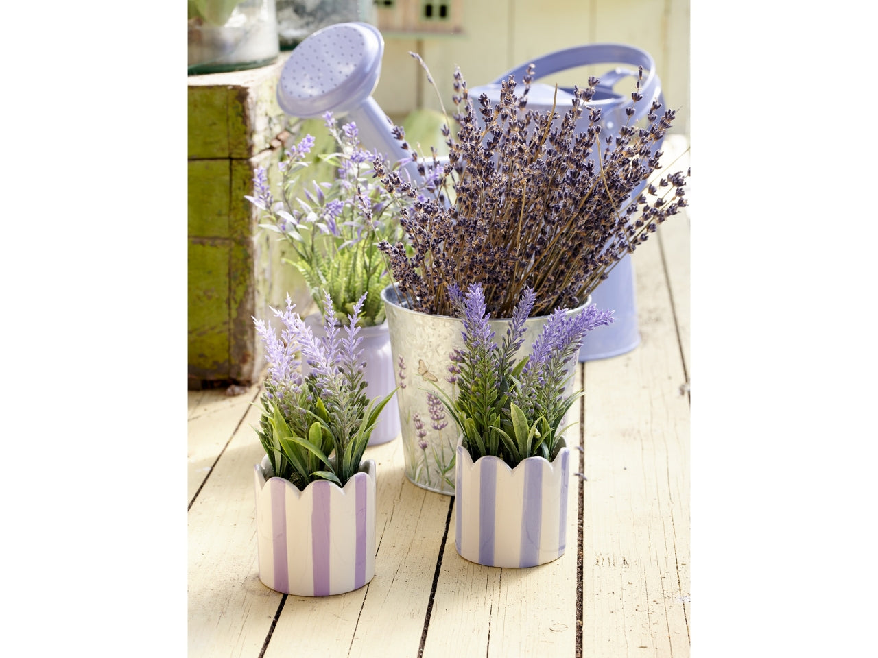 Vaso c/lavanda 2 assortiti d.7xh.18cm
