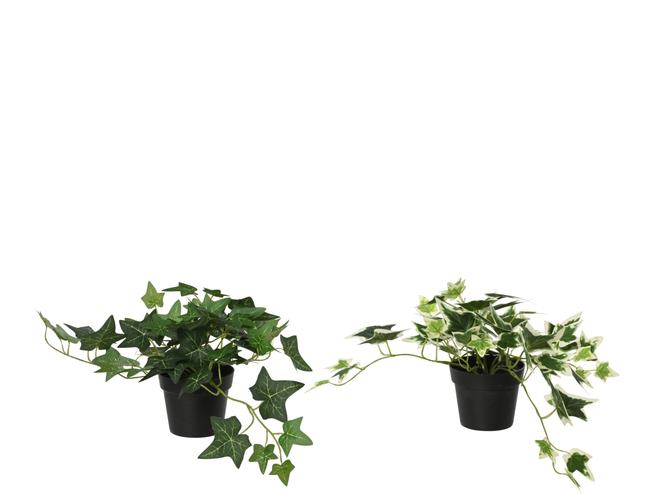 Vaso c/edera 2 assortiti 25x17xh.28cm