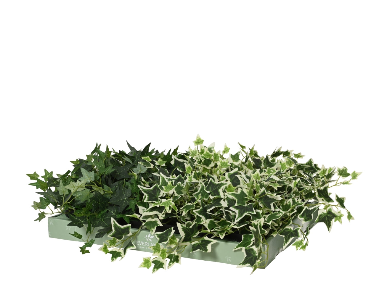 Vaso c/edera 2 assortiti 25x17xh.28cm