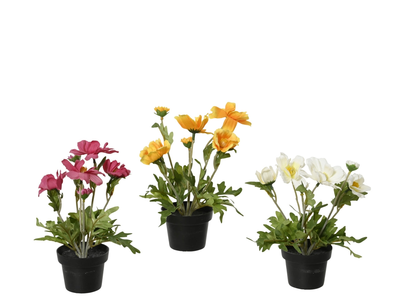 Vaso c/margherite 3 assortiti d.15xh.22cm