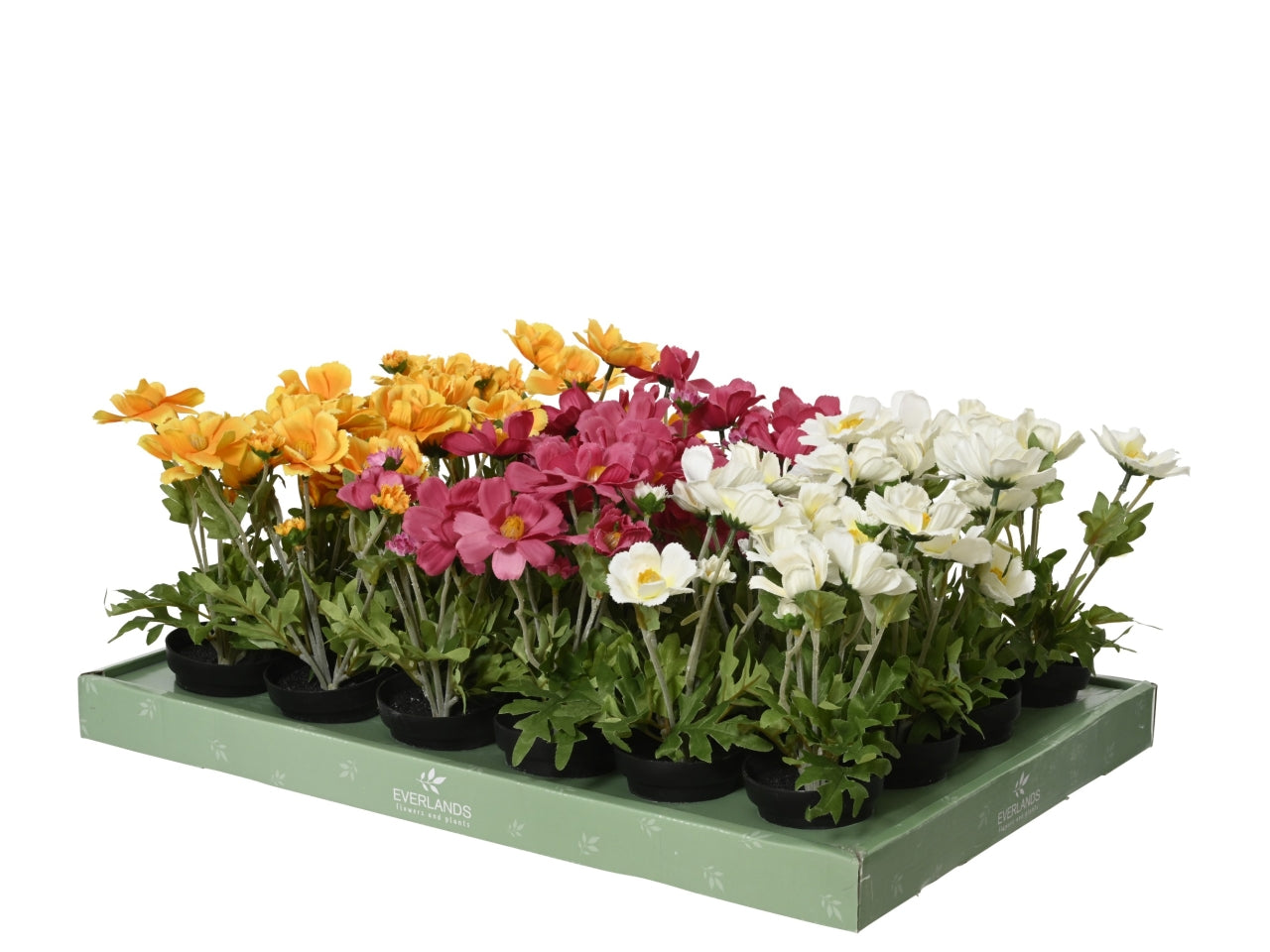 Vaso c/margherite 3 assortiti d.15xh.22cm