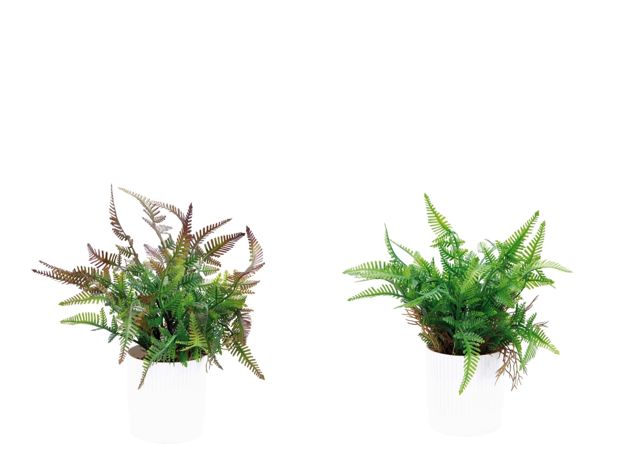 Felce con vaso d.10xh.26cm in 2 colori assortiti