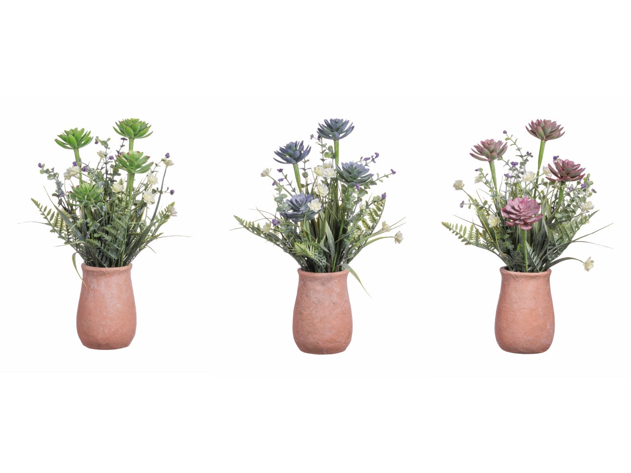 Piantina grassa con vaso d.10xh.37cm, 3 varianti colori