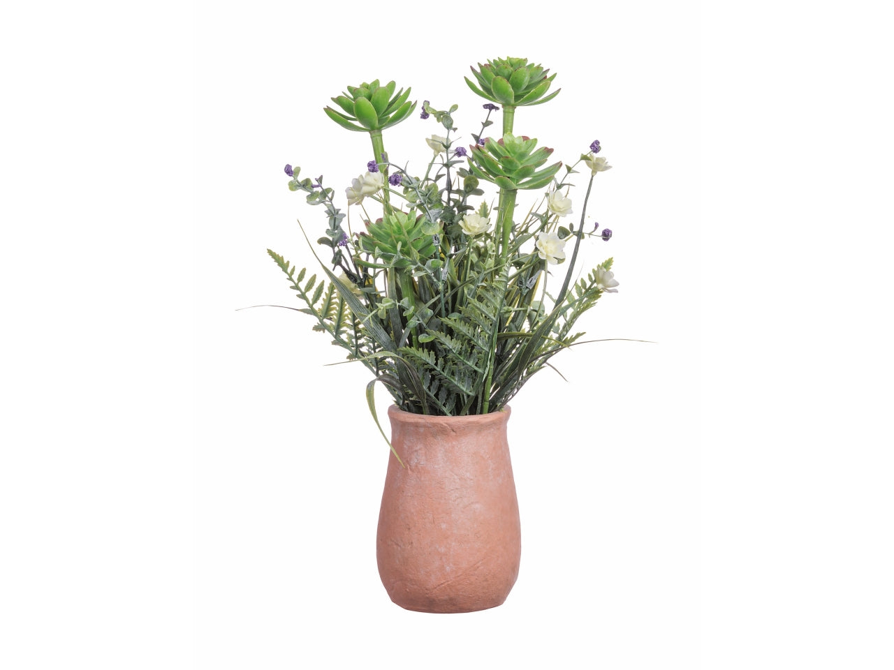 Piantina grassa con vaso d.10xh.37cm, 3 varianti colori