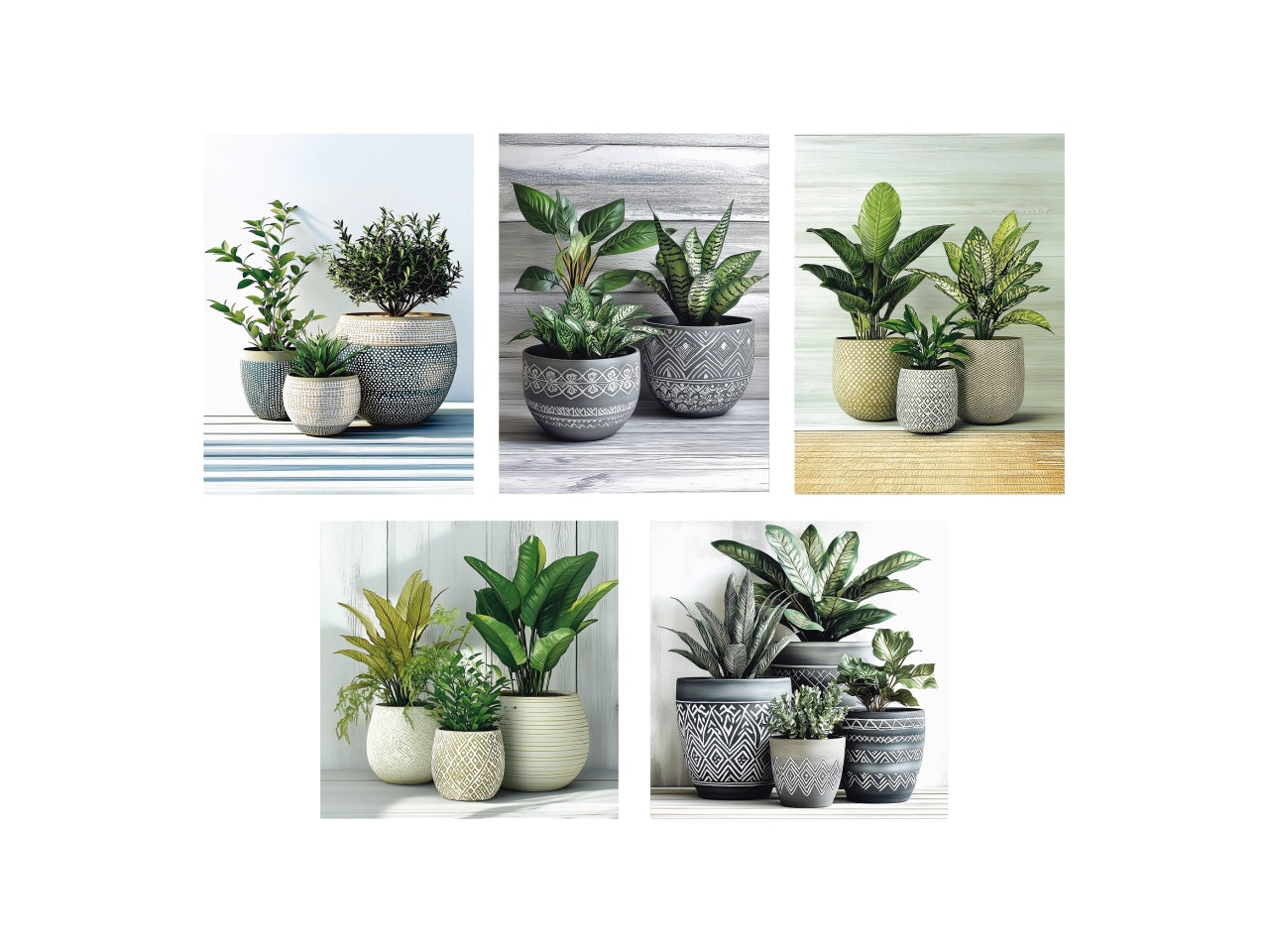 Quadri con piante set da 5 tele 15x20/25x25cm, 2 assortimenti