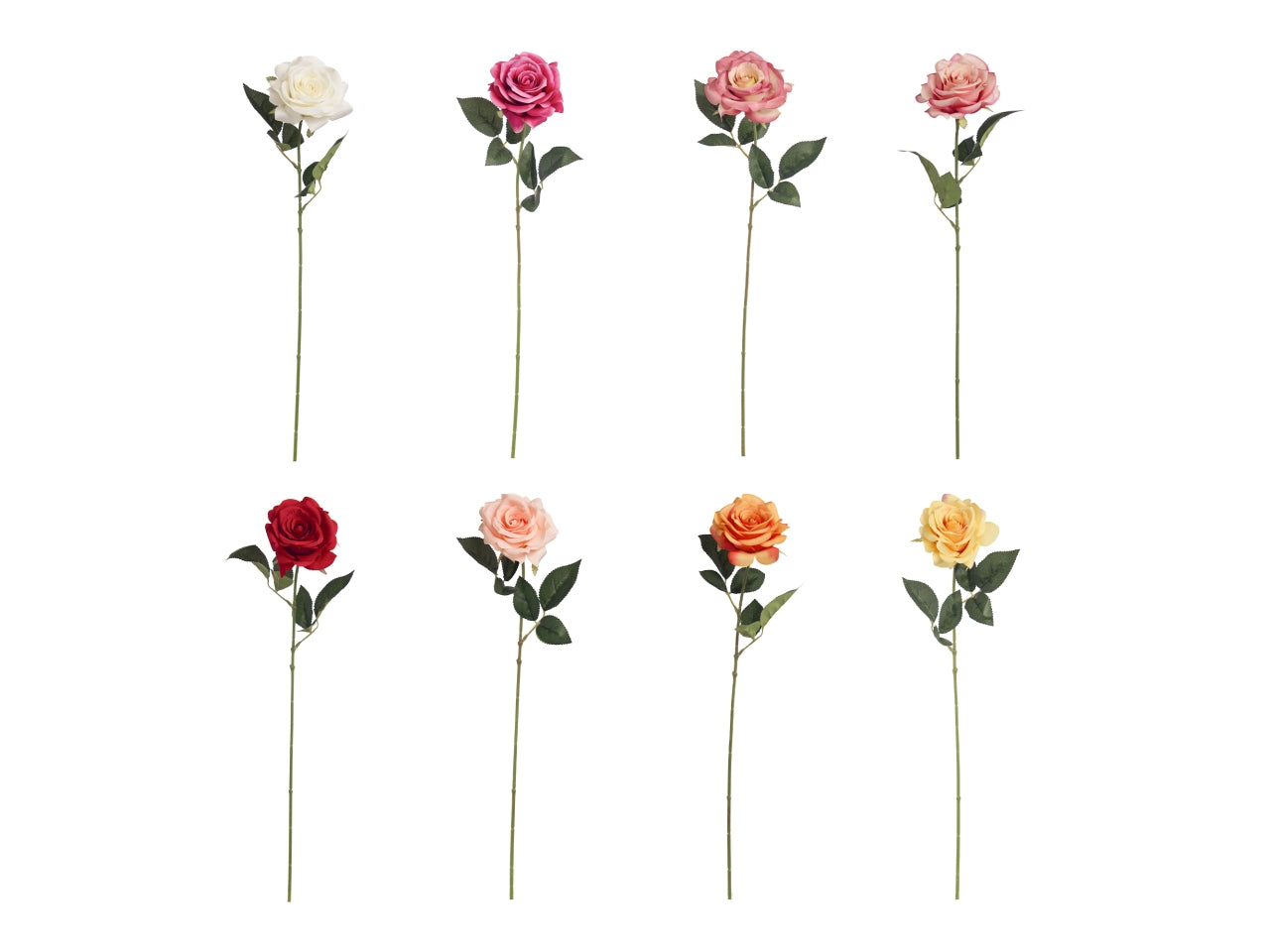 Rosa singola diamond in colori assortiti