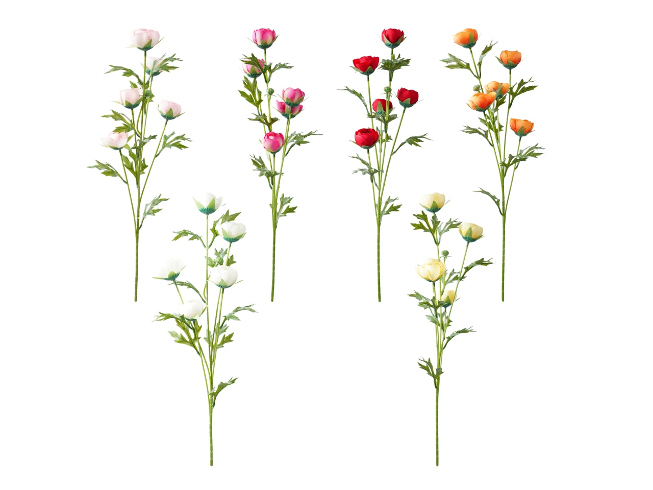 Tralcio con 5 ranuncoli in colori assortiti