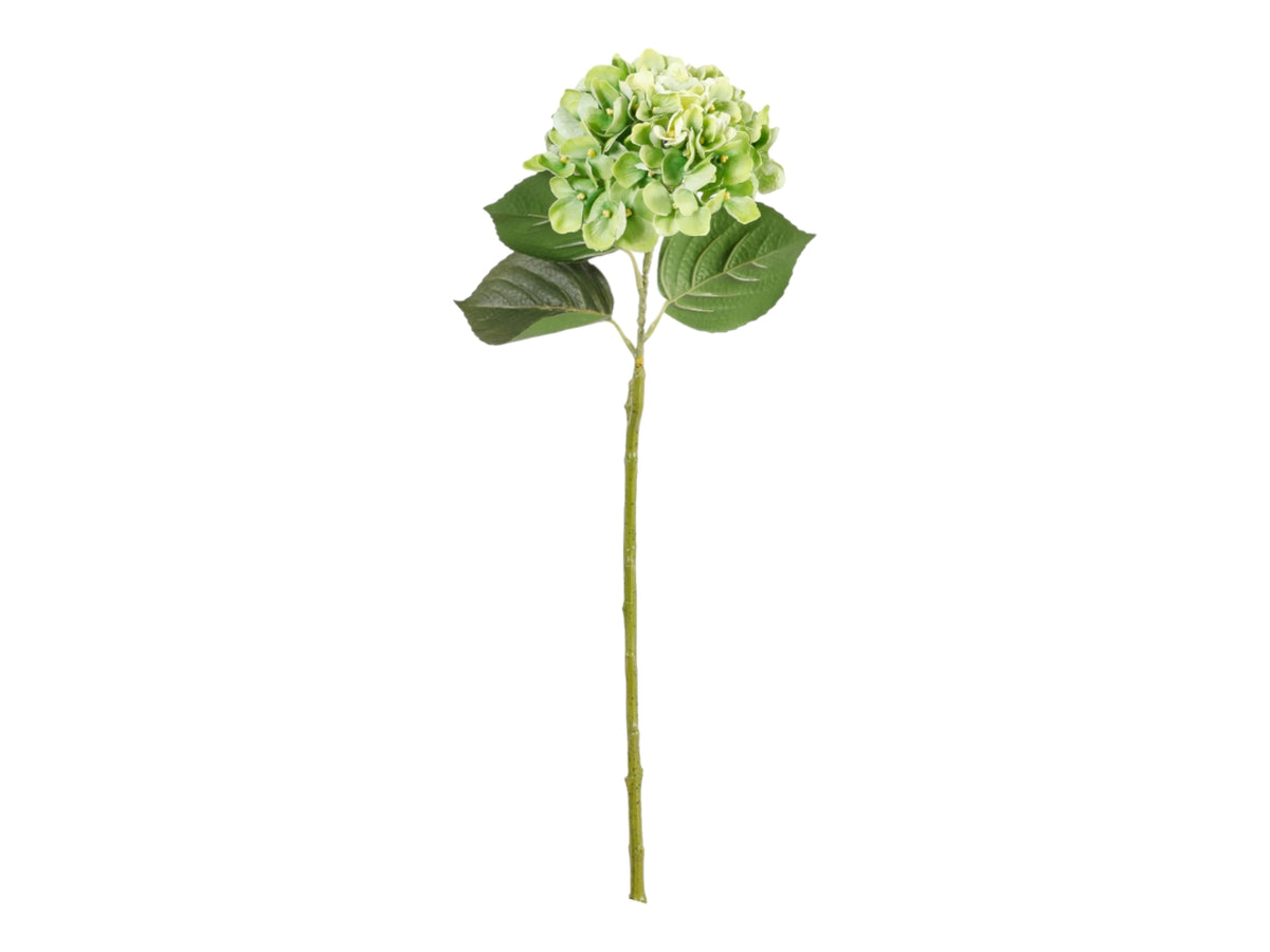 Ortensia ramo 82cm verde chiaro