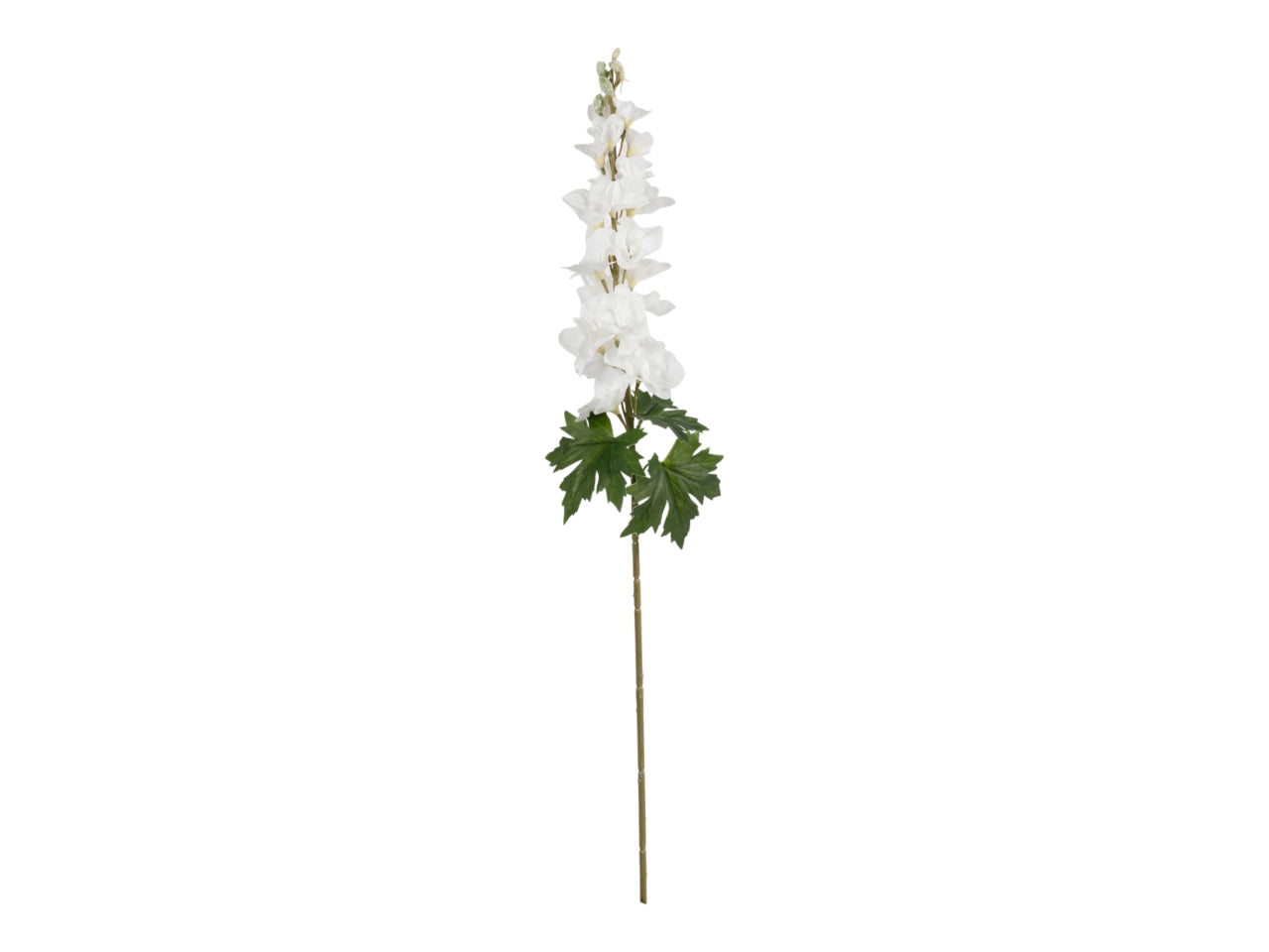 Delphinium ramo 90cm bianco