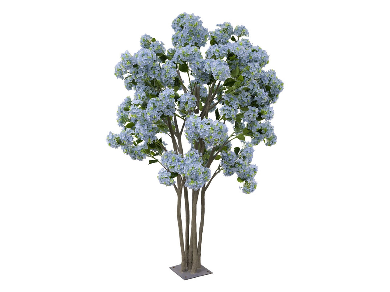 Albero ortensie d.170x230cm celeste