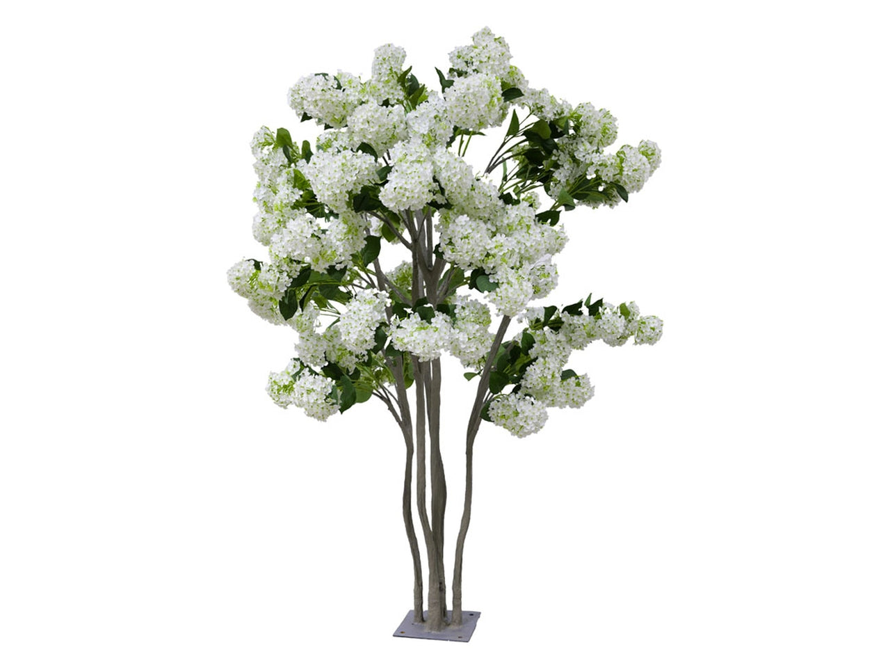 Albero ortensie d.170x230cm bianco