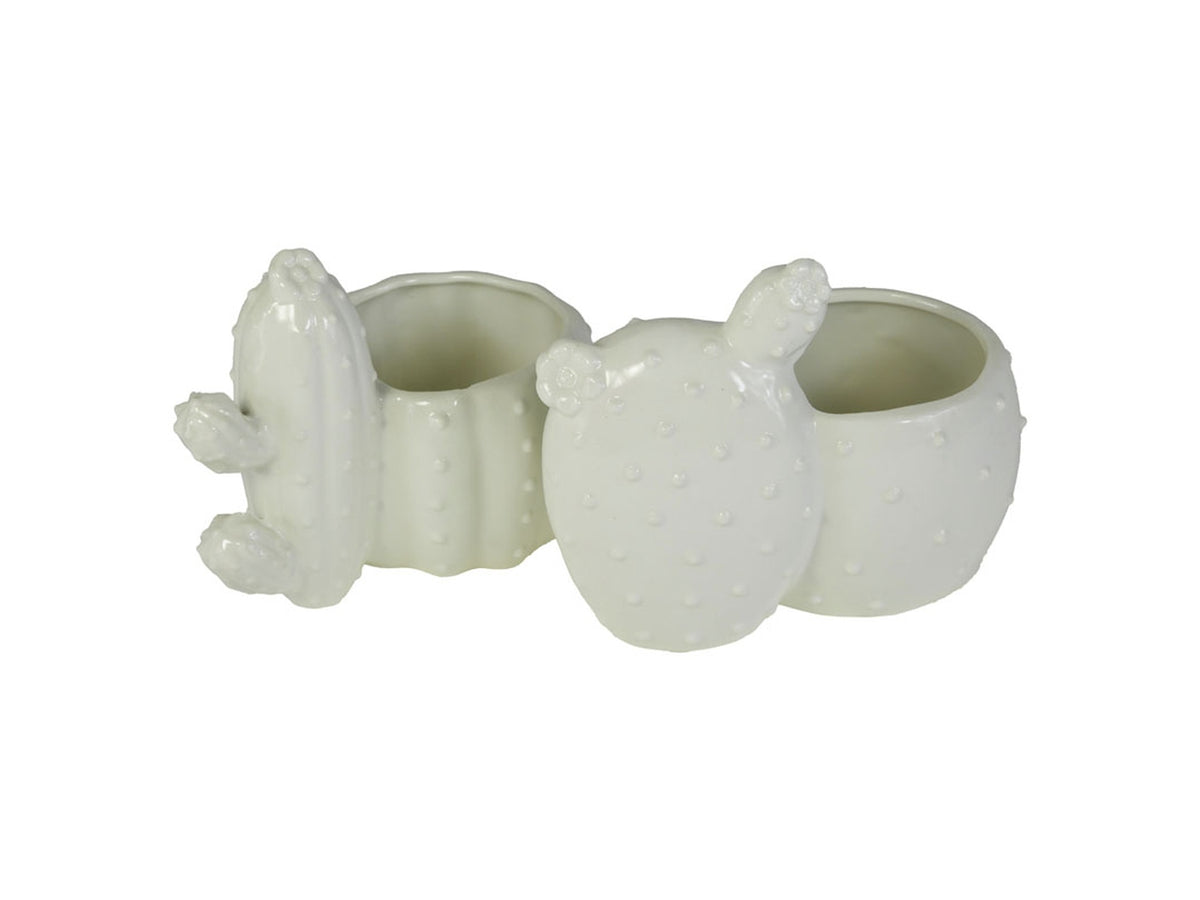 Vaso cactus in ceramica 15x11x11cm bianco, 2 modelli assortiti
