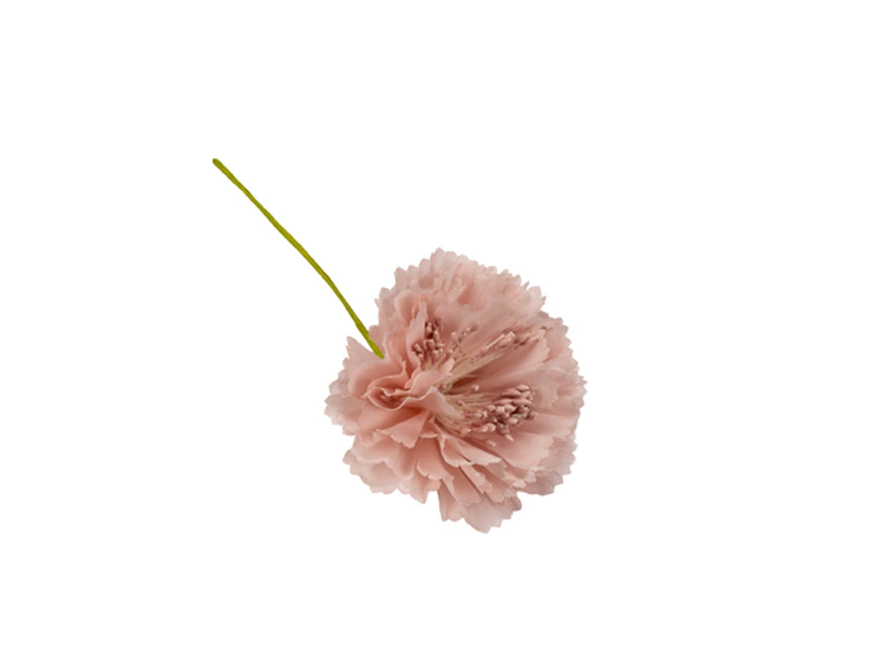 Garofano rosa antico in confezione da 6 pezzi