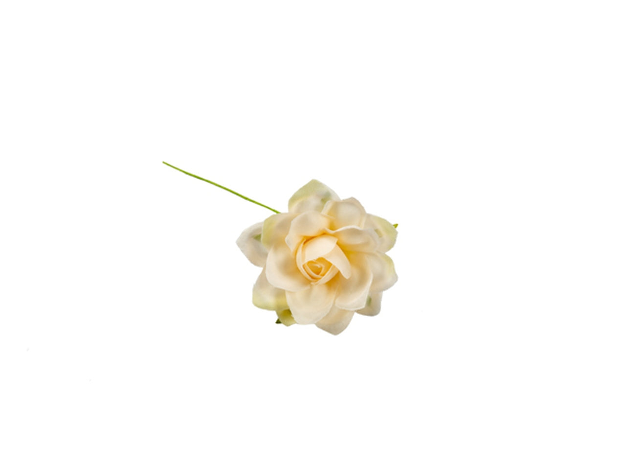Fiore cipria con petali a punta in confezione da 36 pezzi