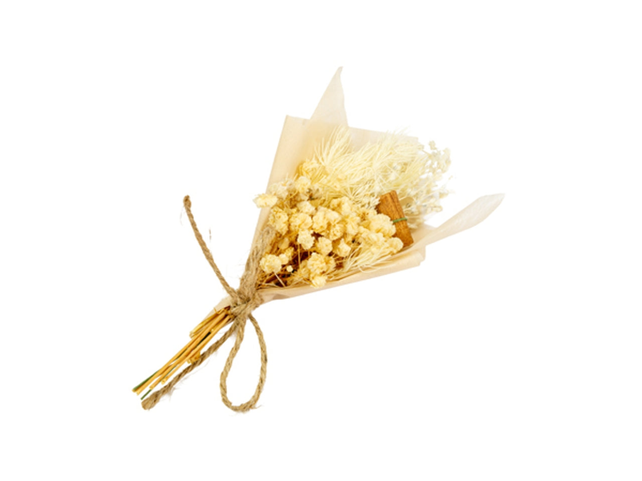 Bouquet con fiori secchi panna in confezione da 6 pezzi