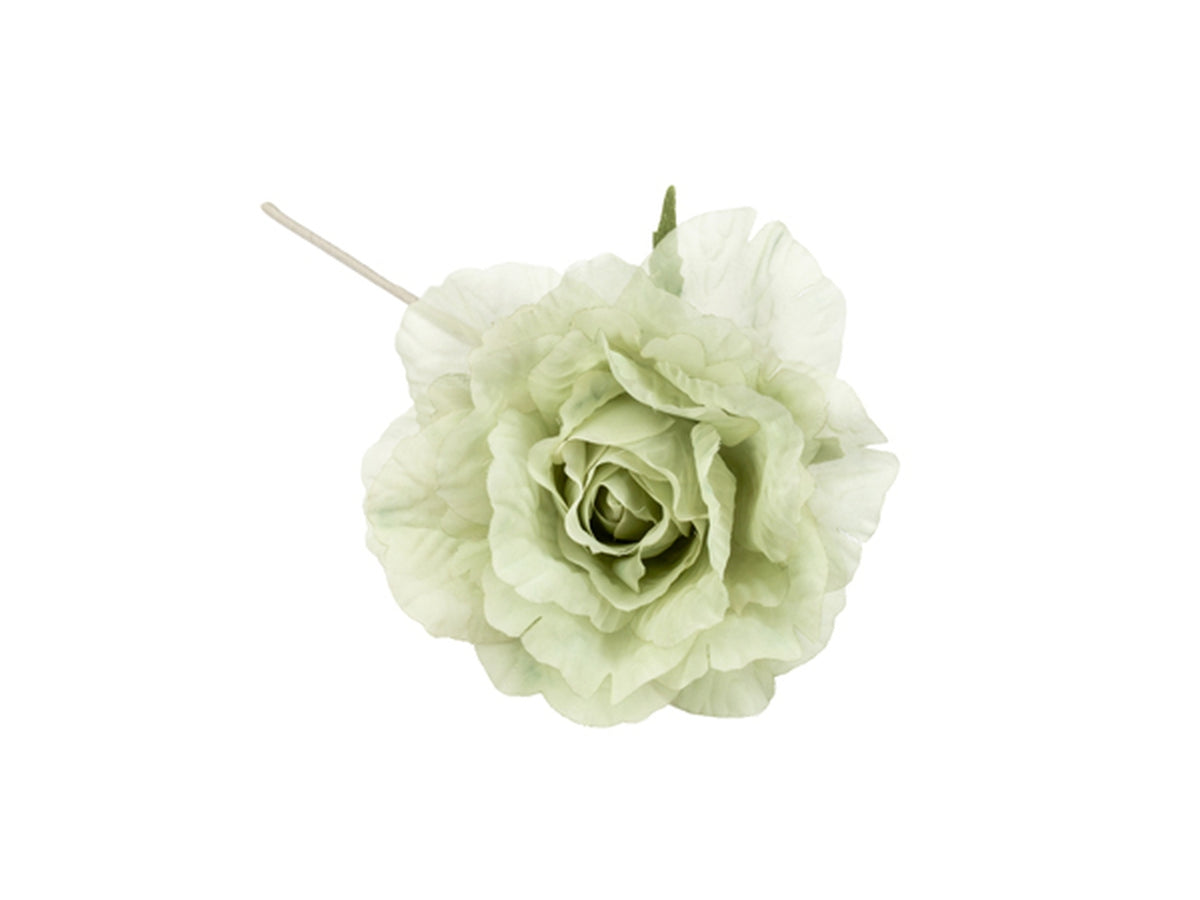 Rosa in organza verde salvia