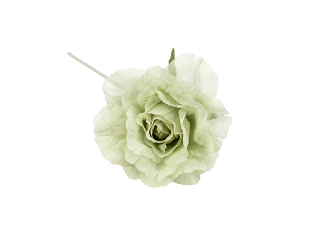 Rosa in organza verde salvia