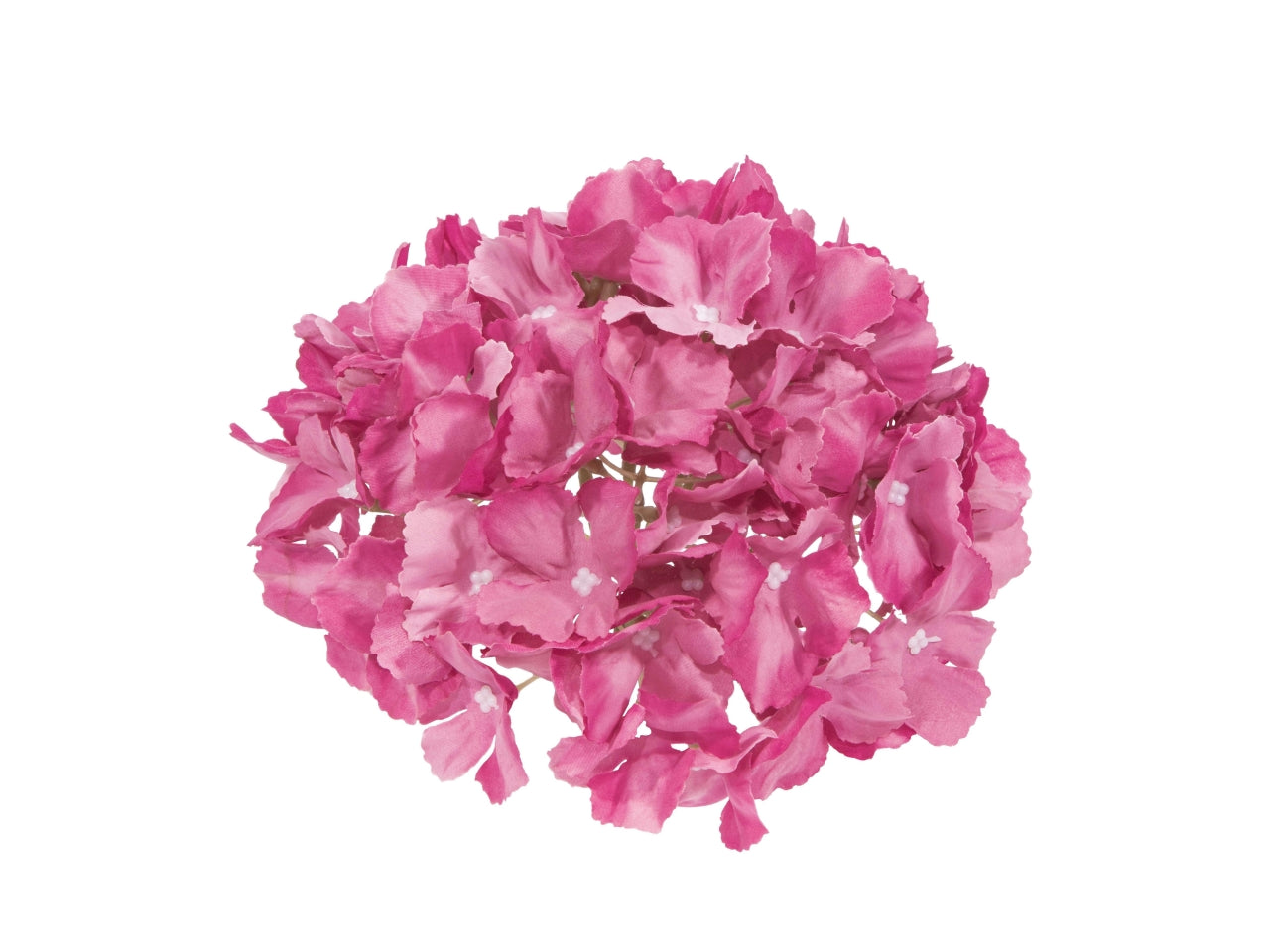 Ortensia gigante diametro 18cm fucsia