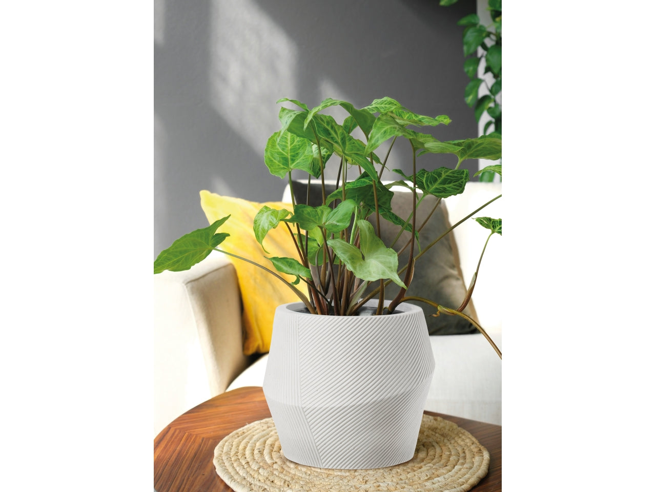 Irok cachepot d.23xh.21cm bianco