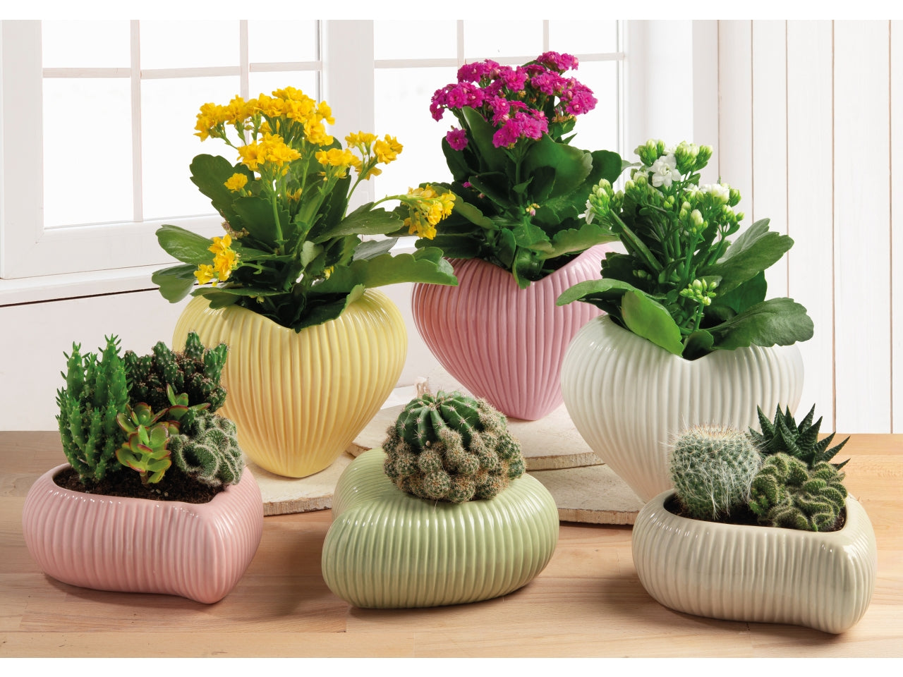 Eros vaso 16,8x10,2xh.13,5cm in 6 assortimenti