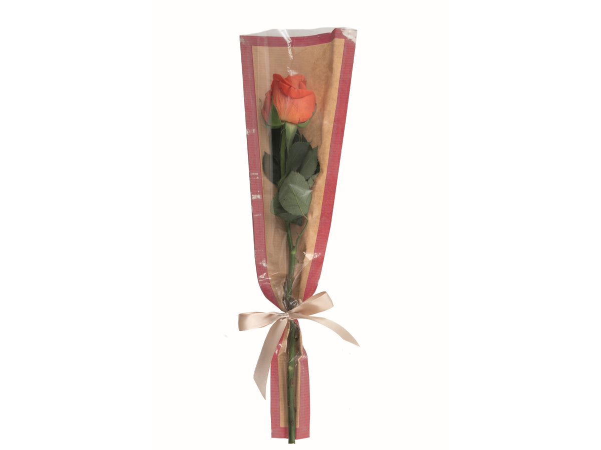 Buste coniche kelly 50pz 15x5x70cm rosso
