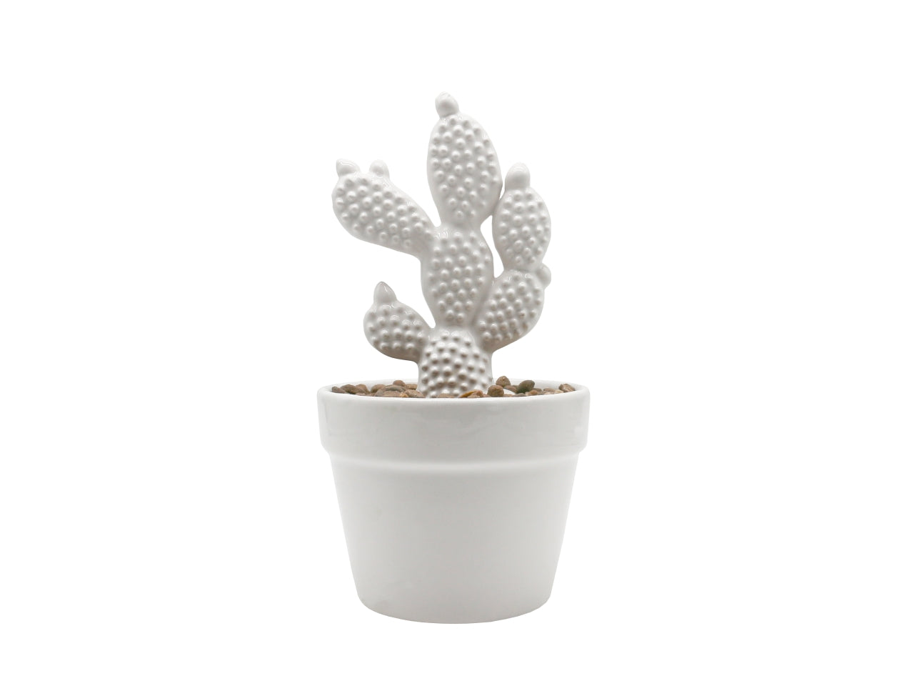 Cactus h.20cm bianco