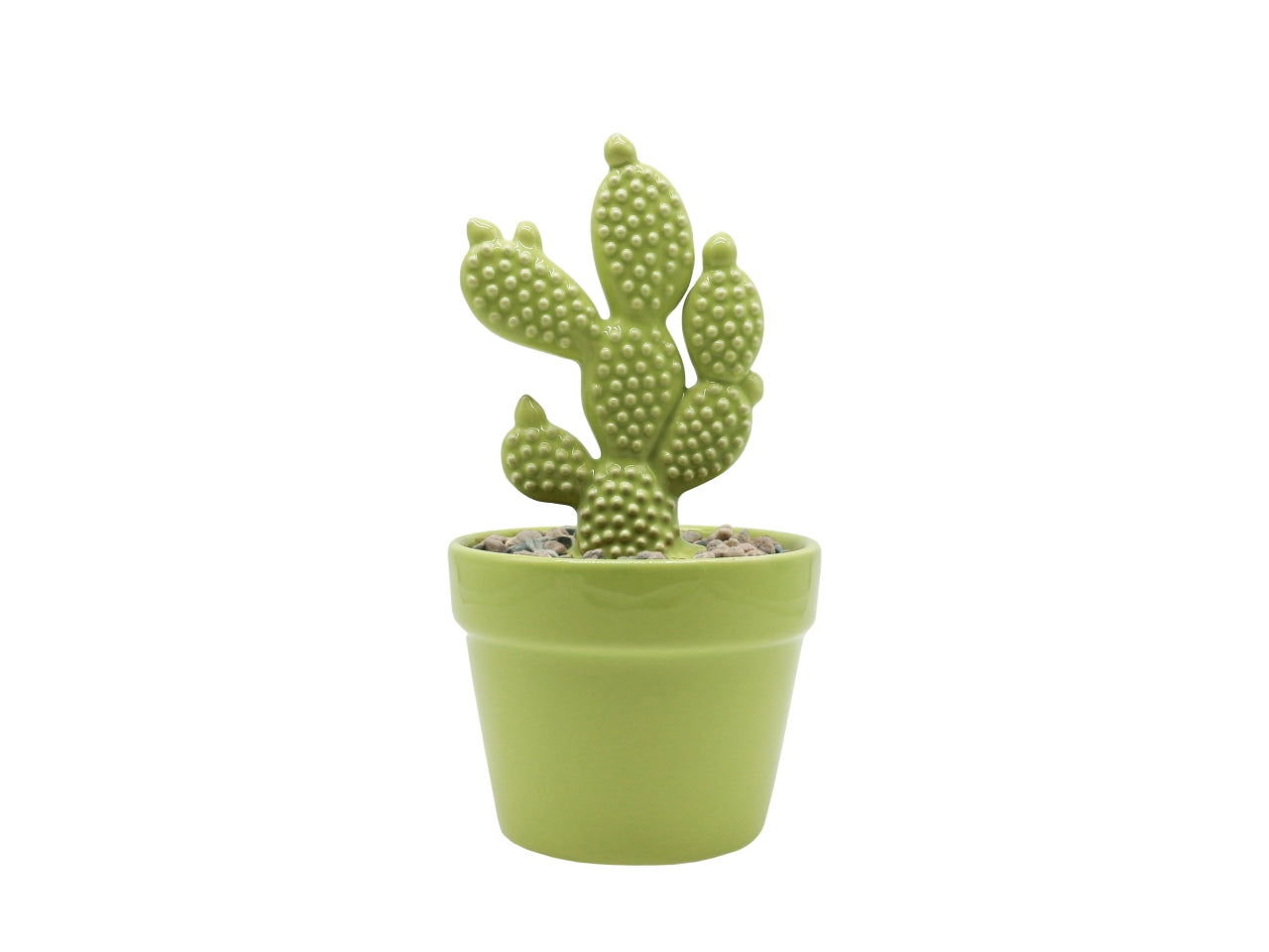 Cactus h.20cm verde mela