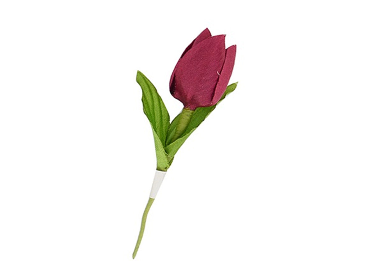 Tulipani bordeaux in confezione da 12 pezzi