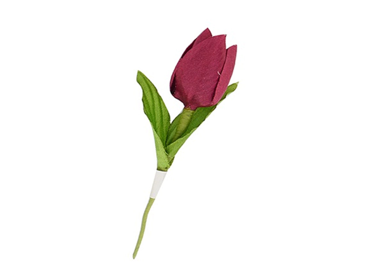 Tulipani bordeaux in confezione da 12 pezzi