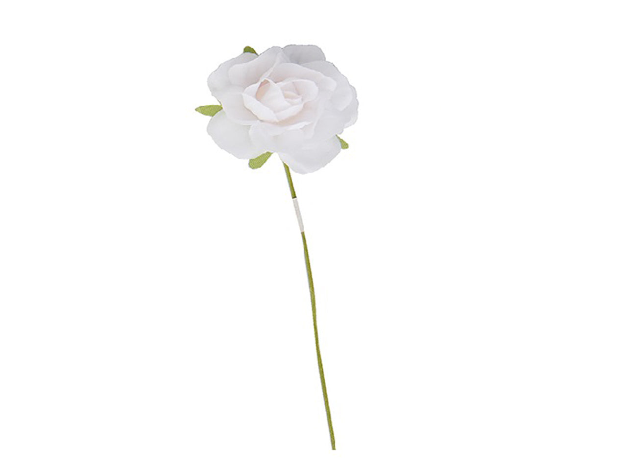 Roselline bianche in confezione da 12 pezzi