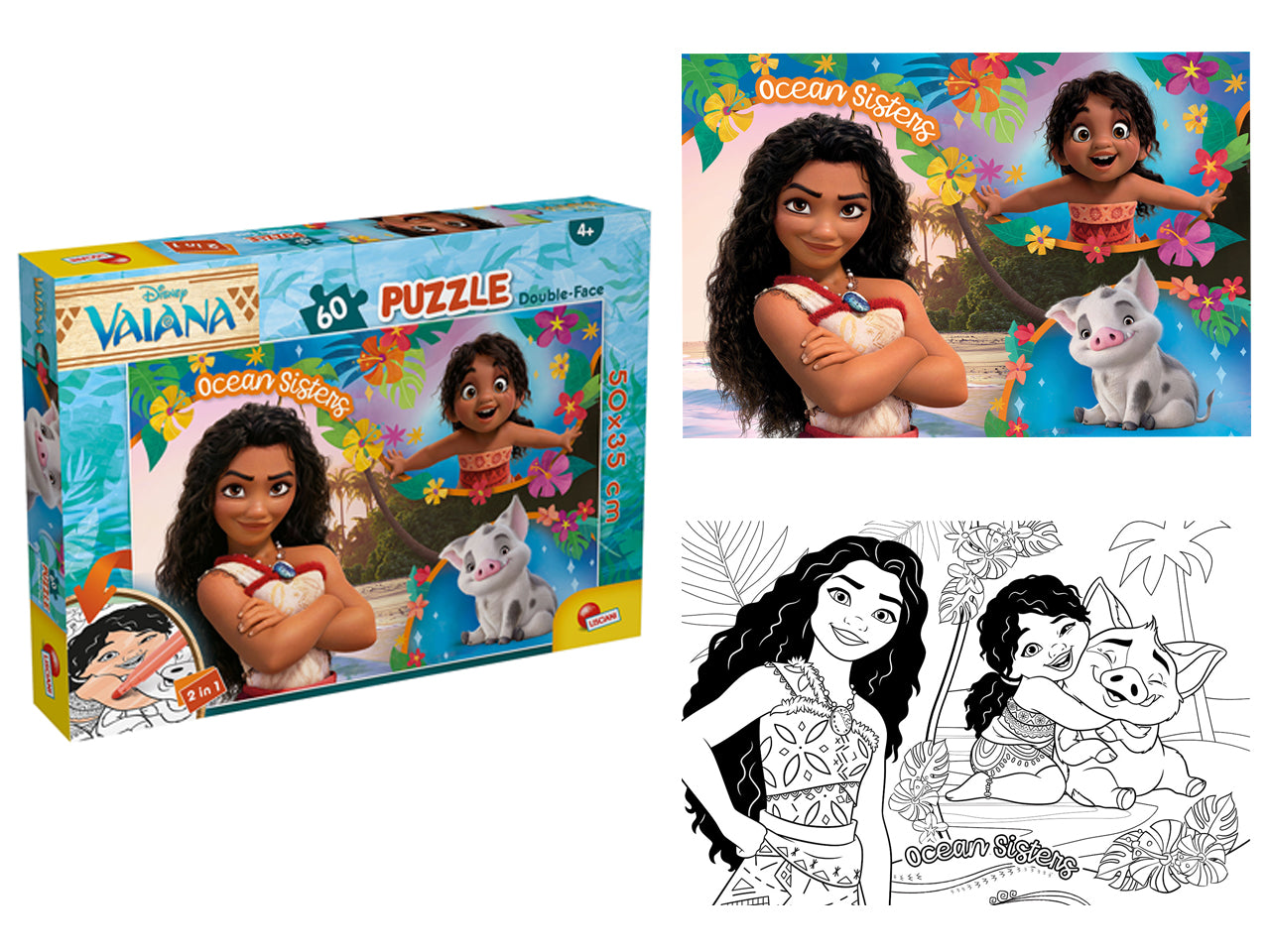 Disneypuzzle df plus 60 oceania 2