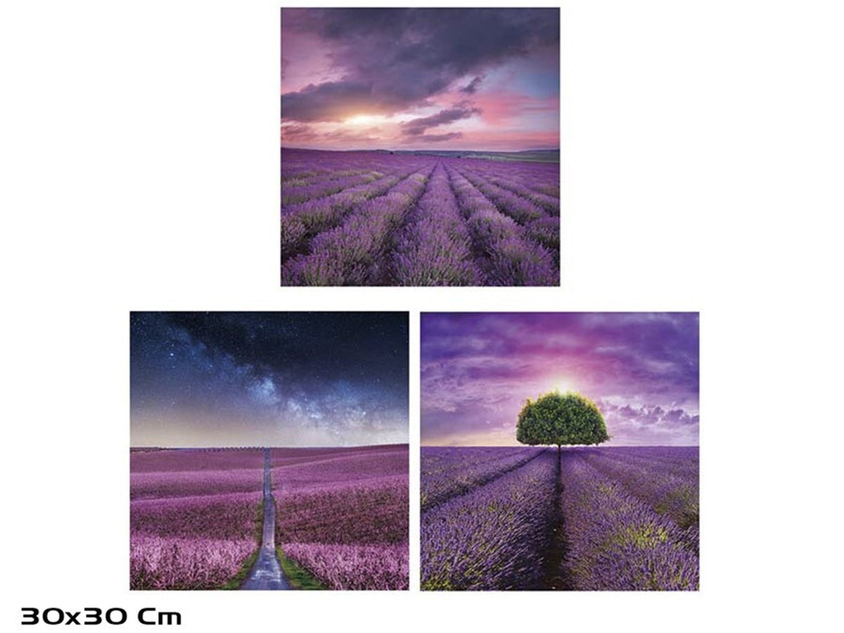 Quadro 30x30cm in 3 assortimenti $