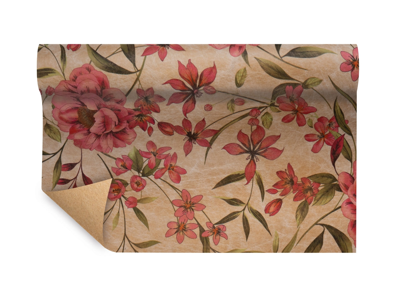 Bobina paper-fibra magnolia 750mmx9mt